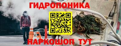 jwh Свободный