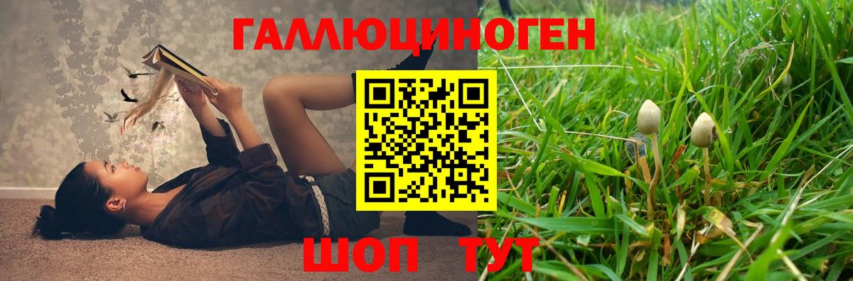 Галлюциногенные грибы Psilocybine cubensis Фролово