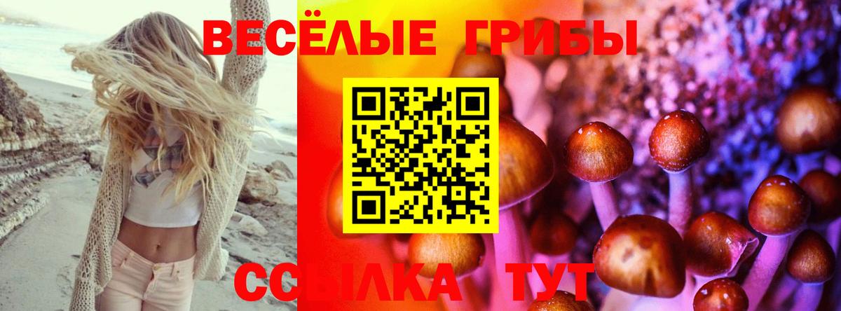 Фролово  Псилоцибиновые грибы ЛСД  Вход с VPN 